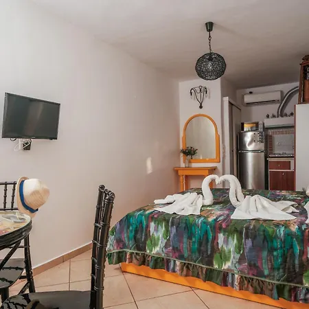 Apartament Irini *